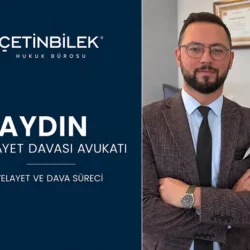 aydın velayet davası avukatı